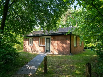Holiday park Pet-Friendly Forest Escape - Holiday park