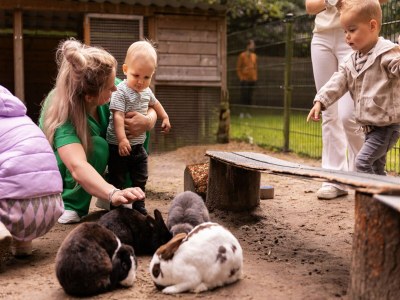 Holiday park Pet-Friendly Forest Escape - Outdoor photo 15