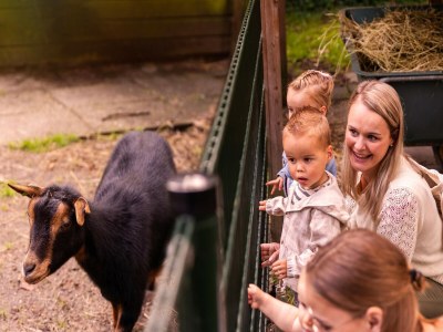 Holiday park Pet-Friendly Forest Escape - Outdoor photo 25