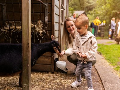 Holiday park Pet-Friendly Forest Escape - Outdoor photo 39