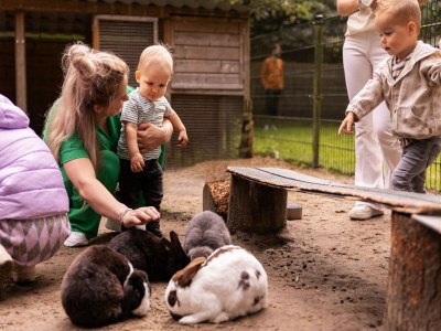 Holiday park Bungalow für 6 im Veluwe-Wald Von Belvilla - Outdoor photo 16