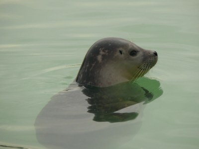 Holiday house Paal - Environment photo 21