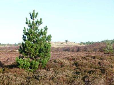 Holiday house Paal - Environment photo 22