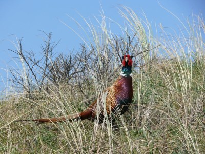 Holiday house Paal - Environment photo 28