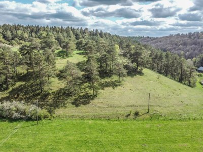 Holiday house Eifel-Hideaway - Outdoor photo 3