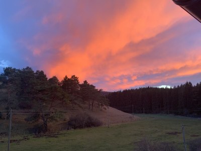 Holiday house Eifel-Hideaway - Environment photo 31