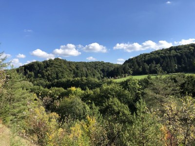 Holiday house Eifel-Hideaway - Environment photo 36