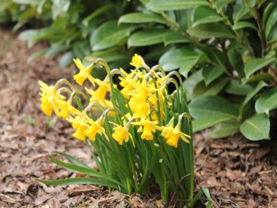 Apartment Apartment in Warin in der Nהhe des Glammsees - Outdoor photo 40