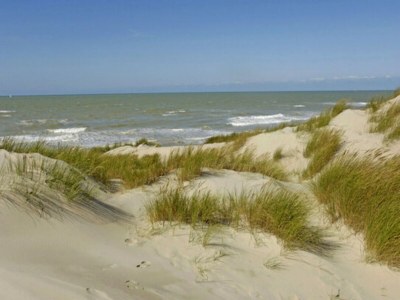 Holiday house Camiran Escape: Wine & Calm - Environment photo 31