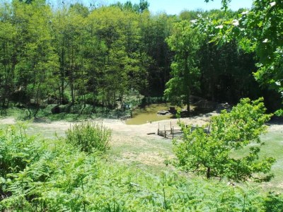 Holiday house Camiran Escape: Wine & Calm - Environment photo 35