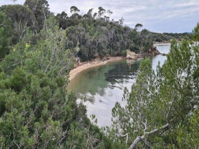 Holiday park Apartment in Giens with Pool & Beach Access - Environment photo 22