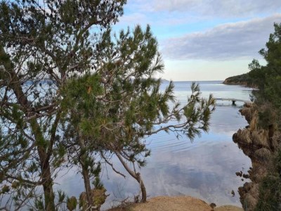 Holiday park Apartment in Giens with Pool & Beach Access - Environment photo 32