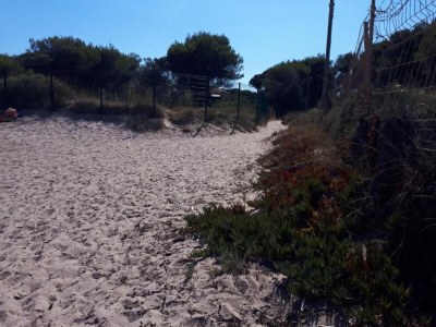 Holiday park Apartment in Giens with Pool & Beach Access - Environment photo 33