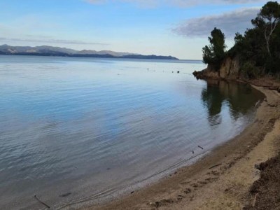 Holiday park Apartment in Giens with Pool & Beach Access - Environment photo 38