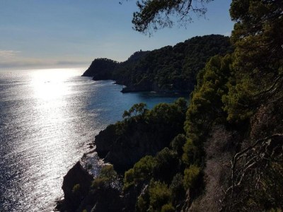 Holiday park Wohnung in Giens mit Pool und Strandnähe - Environment photo 30