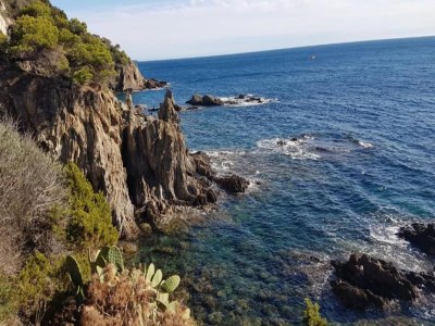 Holiday park Apartment in Giens with Pool & Beaches Nearby - Environment photo 30