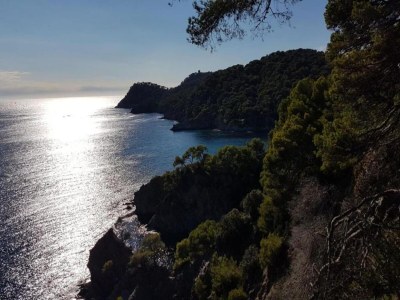 Holiday park Apartment in Giens with Pool & Beaches Nearby - Environment photo 32