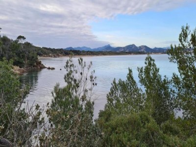 Holiday park Apartment in Giens with Pool & Beaches Nearby - Environment photo 35