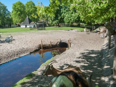 Holiday apartment Charming Bergen - Environment photo 18