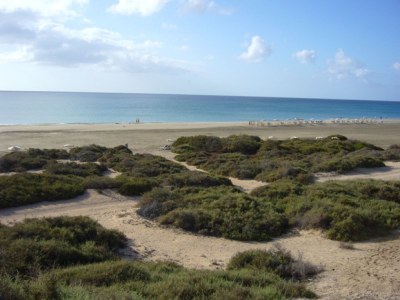 Holiday apartment Ultra 15 - Environment photo 13