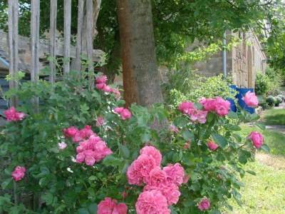 Holiday apartment 17. century framework house - Outdoor photo 5