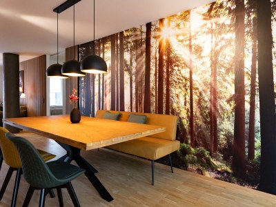 Holiday apartment Top of Singen - Features photo 5