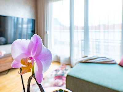 Holiday apartment Top of Singen - Features photo 12