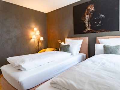 Holiday apartment Top of Singen - Features photo 16