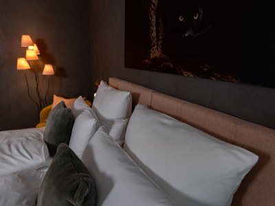 Holiday apartment Top of Singen - Features photo 19