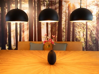 Holiday apartment Top of Singen - Features photo 31