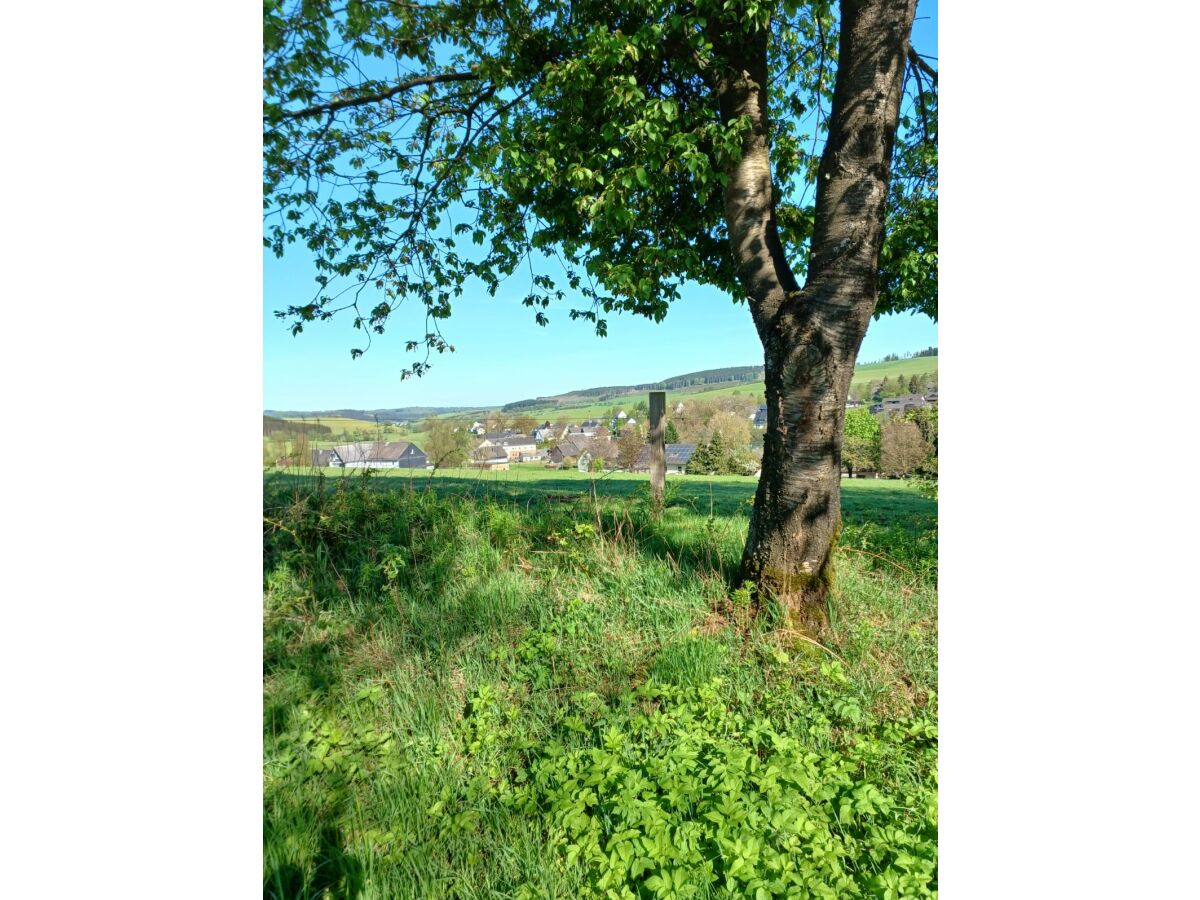 Holiday house Birkelbach - Outdoor photo 3