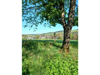 Holiday house Birkelbach - Outdoor photo 3