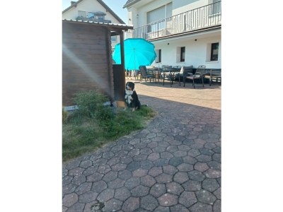 Holiday house Birkelbach - Outdoor photo 6