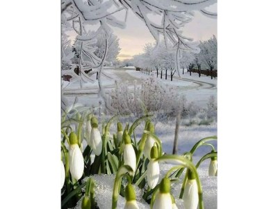 Holiday house Birkelbach - Environment photo 38