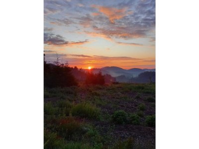 Holiday house Birkelbach - Environment photo 39