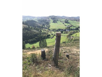 Holiday house Birkelbach - Environment photo 40