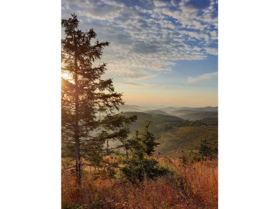 Holiday house Birkelbach - Environment photo 41