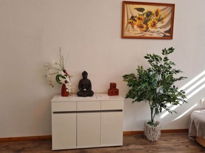 Apartment City Stay in Zwickau - Features photo 12