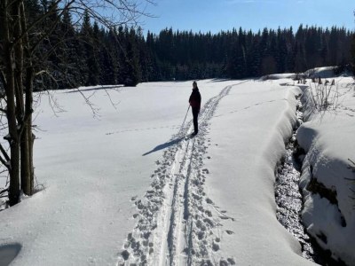 Apartment City Stay in Zwickau - Environment photo 24