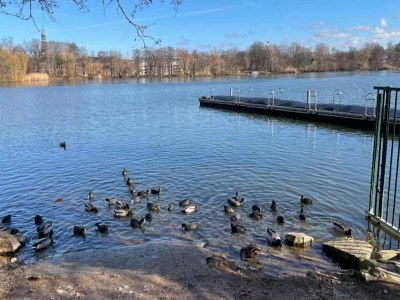 Apartment City Stay in Zwickau - Environment photo 26