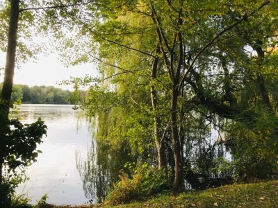 Apartment City Stay in Zwickau - Environment photo 27