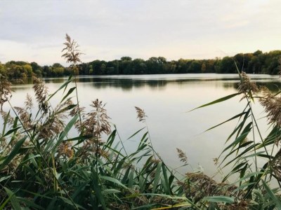 Apartment City Stay in Zwickau - Environment photo 29