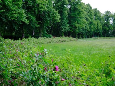 Apartment City Stay in Zwickau - Environment photo 30