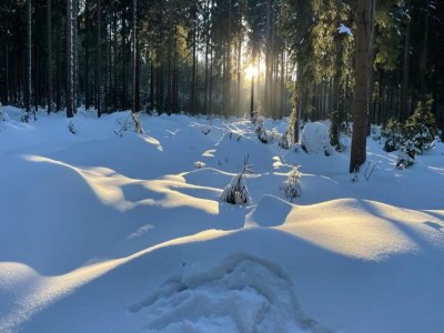 Apartment City Stay in Zwickau - Environment photo 32