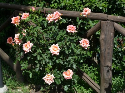 Holiday house Friedlicher Kurzurlaub auf dem Land - Outdoor photo 35