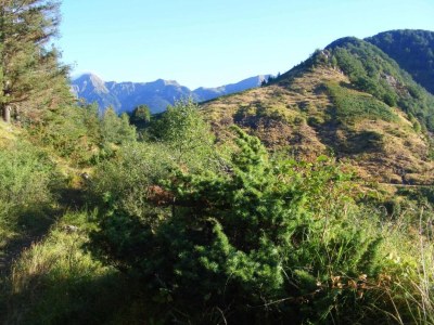 Holiday house Ferienhaus Monte Santa Maria mit Pool - Environment photo 28