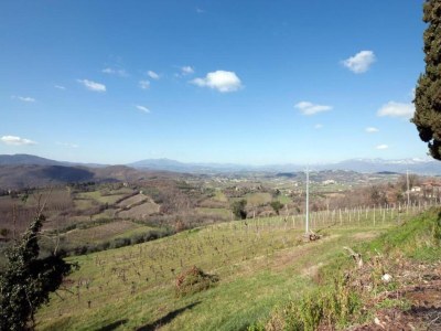 Holiday house Ferienhaus Monte Santa Maria mit Pool - Environment photo 29