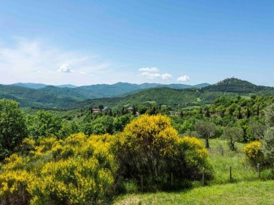 Holiday house Ferienhaus in Monte Santa Maria mit Pool - Environment photo 20