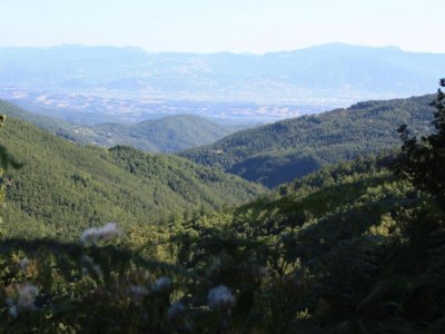 Holiday house Ferienhaus in Monte Santa Maria mit Pool - Environment photo 26