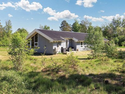 Holiday house 4 Sterne Ferienhaus in Ålbæk-By Traum - Outdoor photo 3